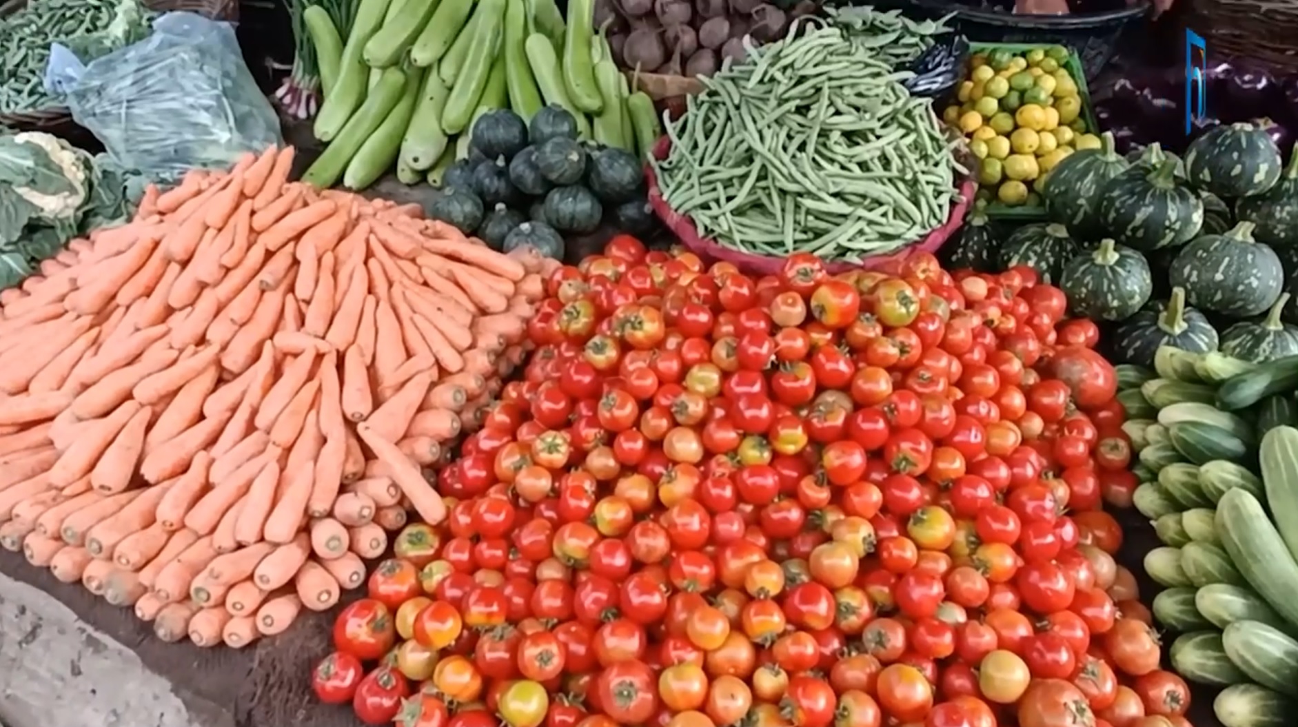 तरकारीका नाममा नागरिकको भान्सामा विषादी (भिडियो रिपोर्टसहित)