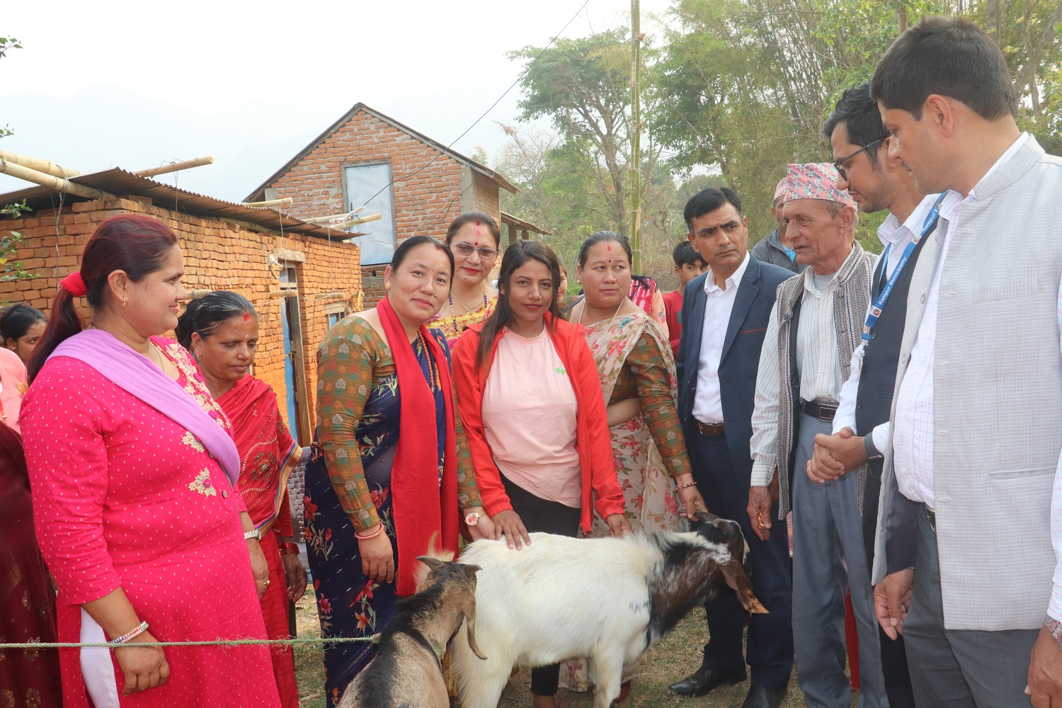 व्यावसायीकतामा जोड दिन बाख्रा उपहार