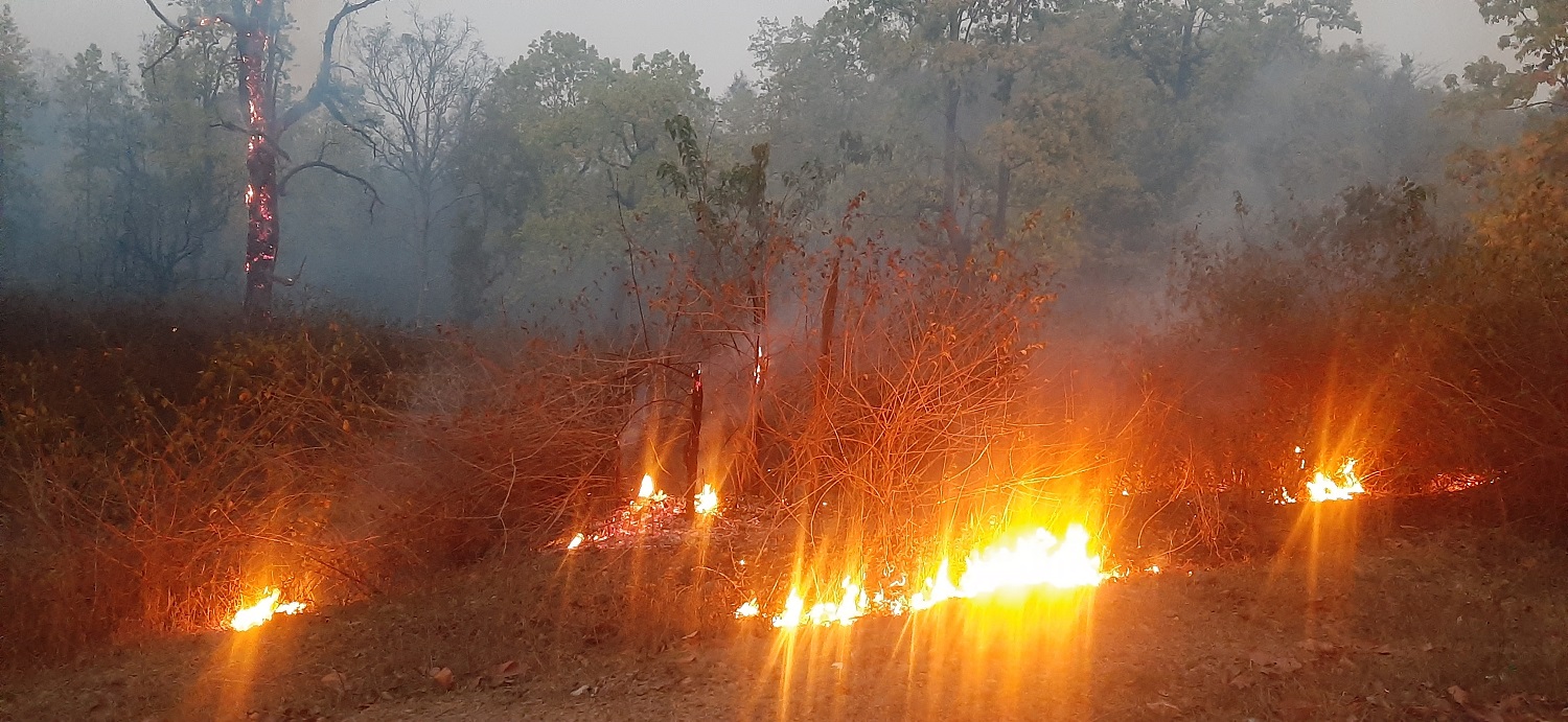 डढेलोले वन सखाप, स्वास्थ्यमा खराब