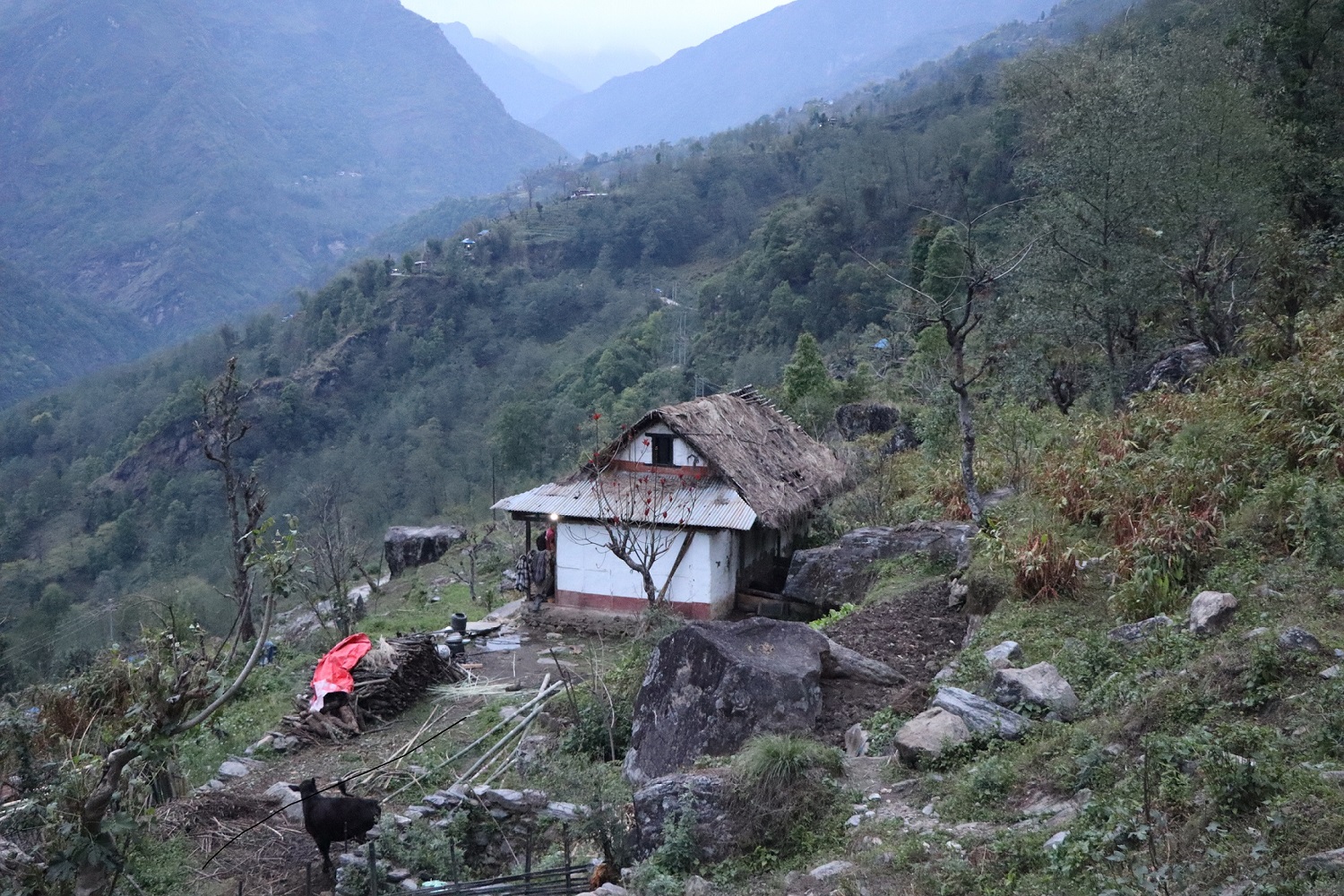 हावाहुरीसँगै वर्षा हुन थालेपछि…