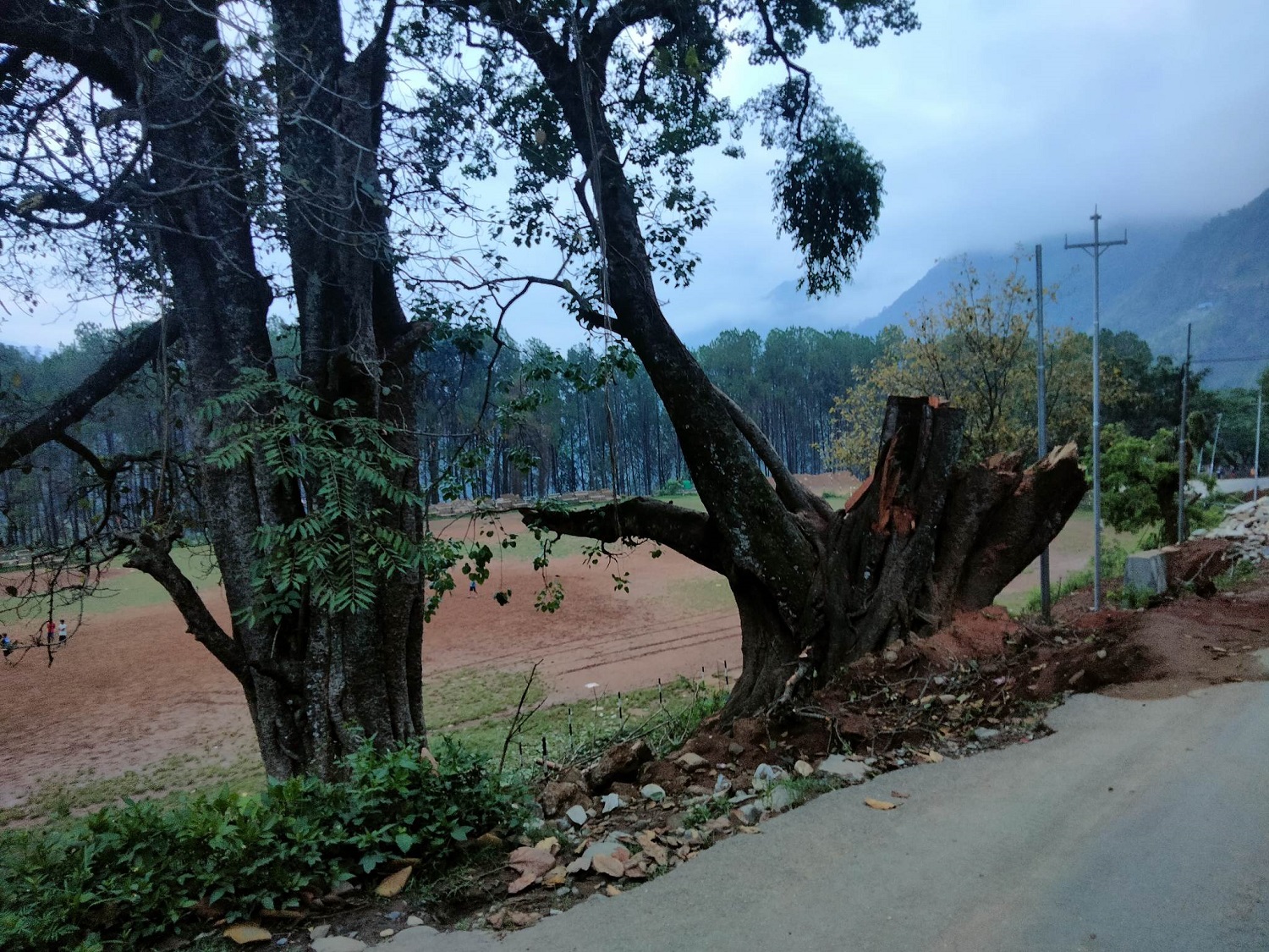 चौतारी, पोखरी र वर, पीपल संरक्षण गर्दै जैमिनी