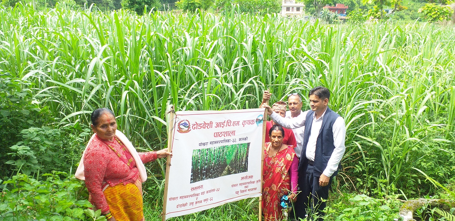 खुदोले चिनिएको गाउँ ढोडबेँसी र मालेपाटन