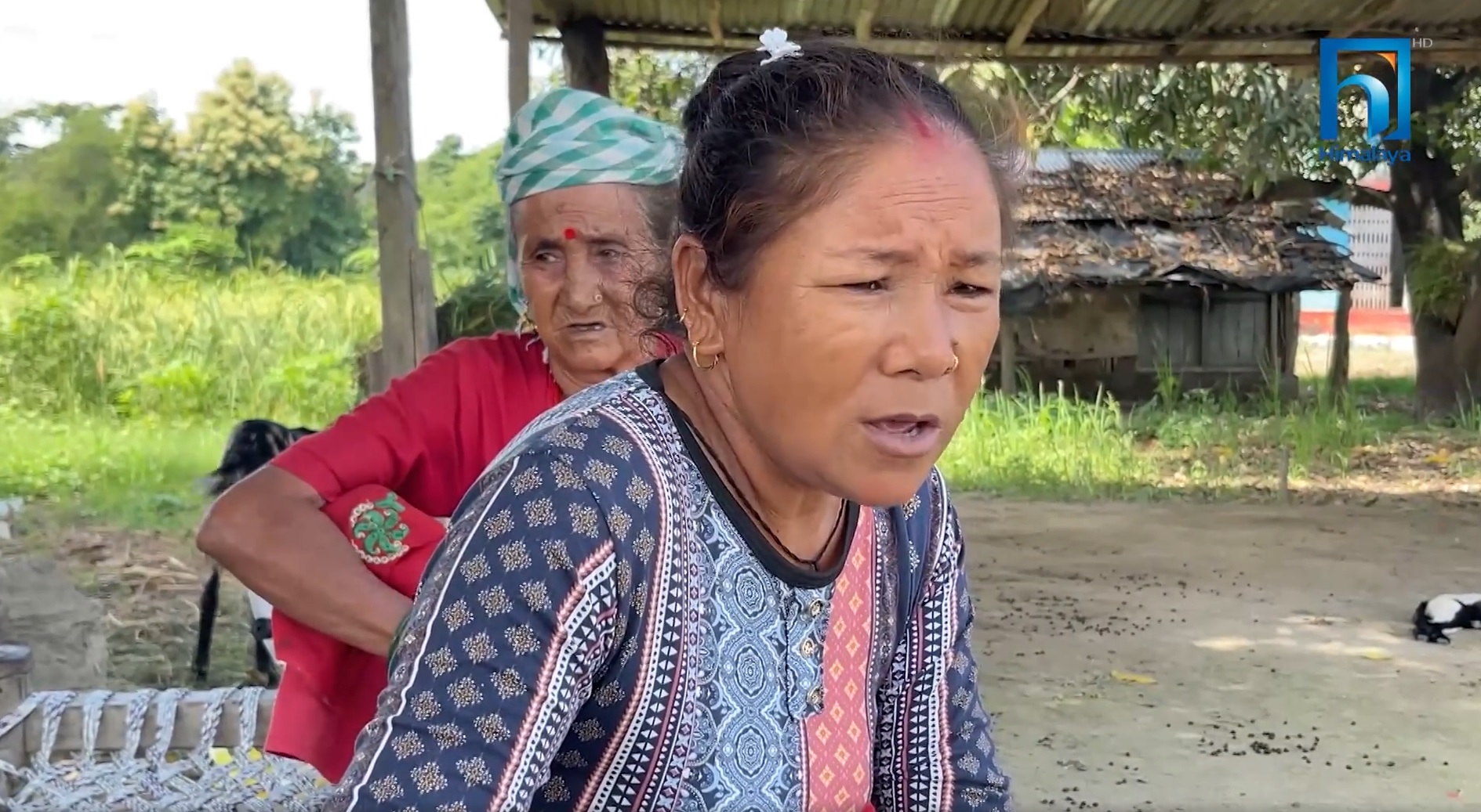 हात्ती भगाउन रातभर जाग्राम (भिडियो रिपोर्टसहित)