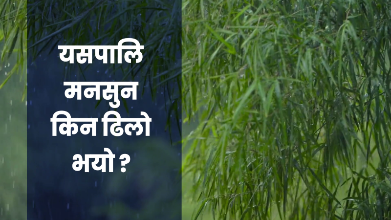 यसपालि मनसुन सुरु हुन किन ढिला ?